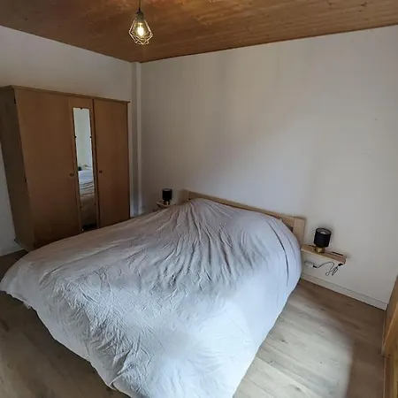 Renove Proche Centre Navette 6-8 Personnes Multipass * Chatel
