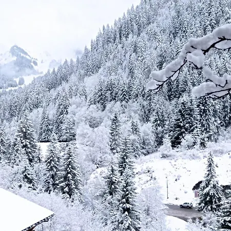 Apartment Renove Proche Centre Navette 6-8 Personnes Multipass Chatel